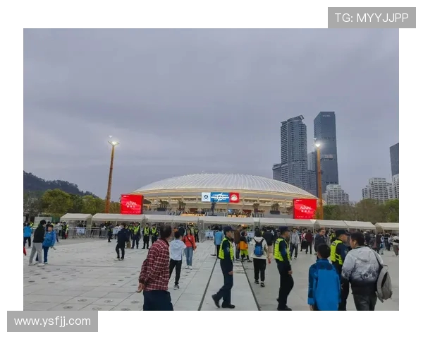 张卫：憾负海港，信念如磐，深圳新鹏城未来可期